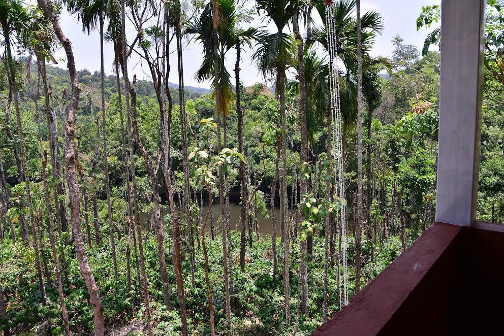 Jambur River Near Coorg מראה חיצוני תמונה