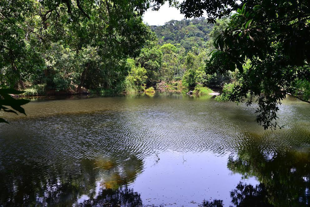 Jambur River Near Coorg מראה חיצוני תמונה